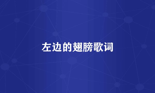左边的翅膀歌词