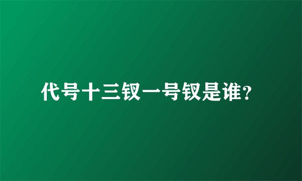 代号十三钗一号钗是谁？