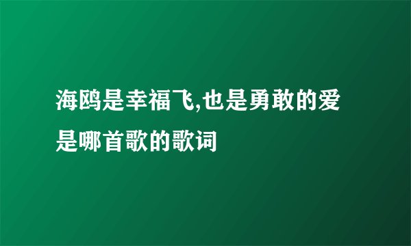海鸥是幸福飞,也是勇敢的爱是哪首歌的歌词