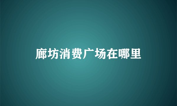 廊坊消费广场在哪里