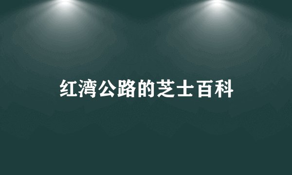 红湾公路的芝士百科