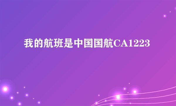 我的航班是中国国航CA1223