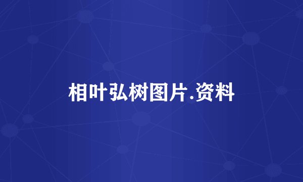 相叶弘树图片.资料