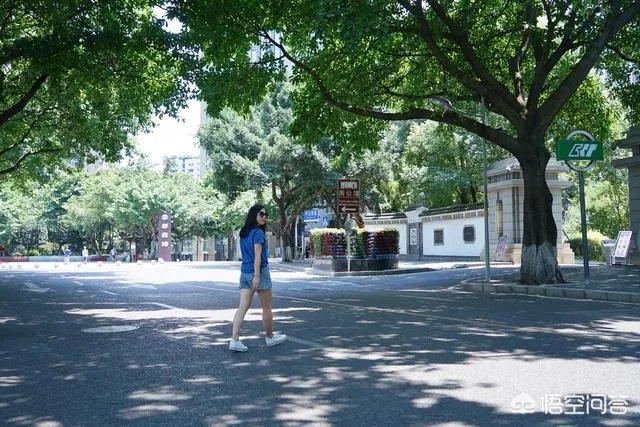 途虫旅游