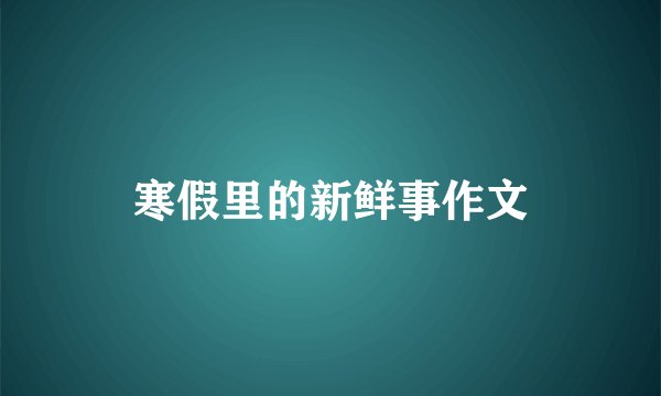 寒假里的新鲜事作文