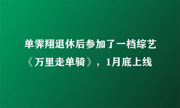 单霁翔退休后参加了一档综艺《万里走单骑》，1月底上线