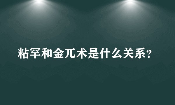 粘罕和金兀术是什么关系？