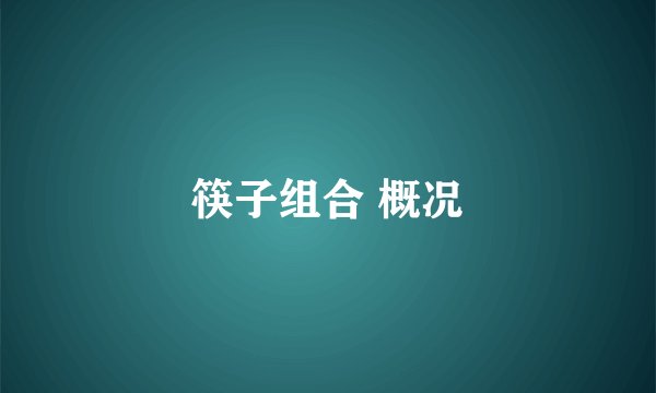 筷子组合 概况