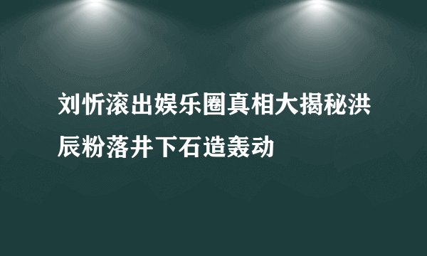刘忻滚出娱乐圈真相大揭秘洪辰粉落井下石造轰动