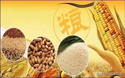 受疫情影响,已有国家禁止出口粮食,你怎么看?
