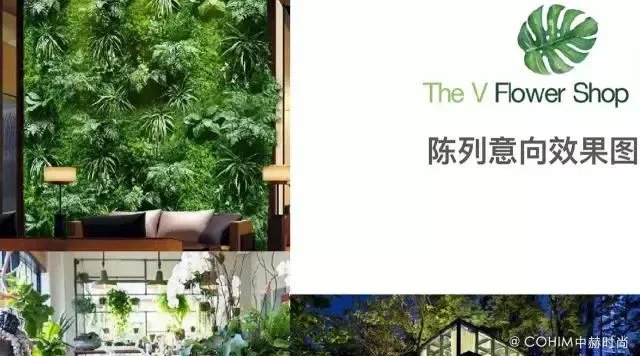 一直想学花艺，该如何开始？