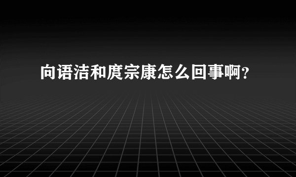 向语洁和庹宗康怎么回事啊？