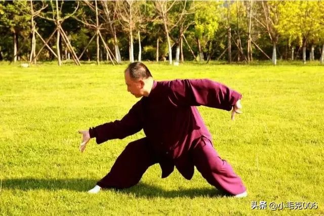 如何评价太极推手?