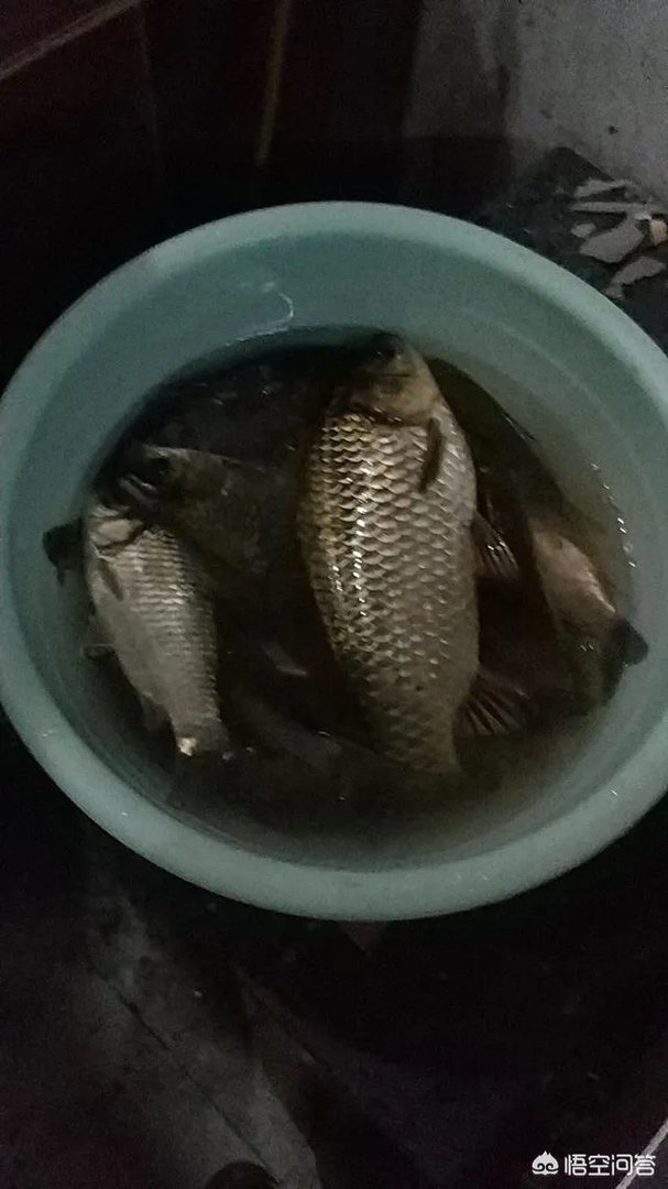 哪里有比较幽静的钓鱼的地方?