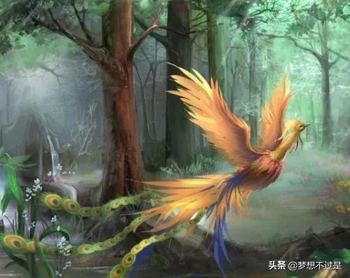 FPX和IG止步LPL春季半决赛,为何他们都逃不过版本制裁?