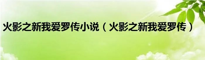 火影之新我爱罗传小说（火影之新我爱罗传）