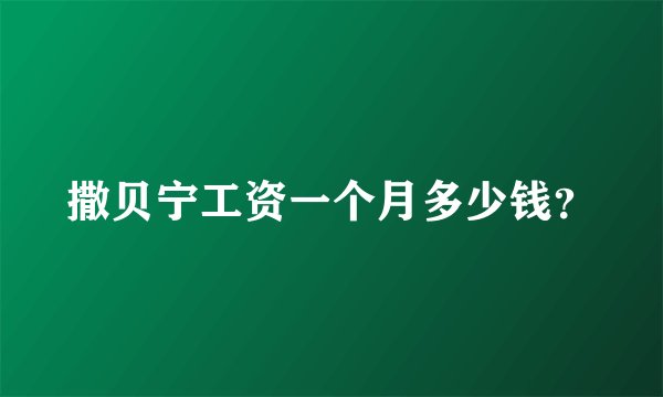 撒贝宁工资一个月多少钱？