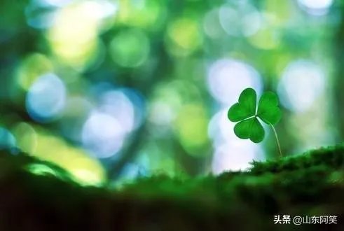 有什么惊艳的句子?