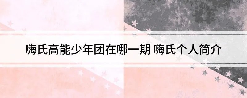 嗨氏高能少年团在哪一期 嗨氏个人简介