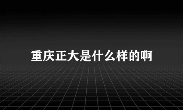 重庆正大是什么样的啊