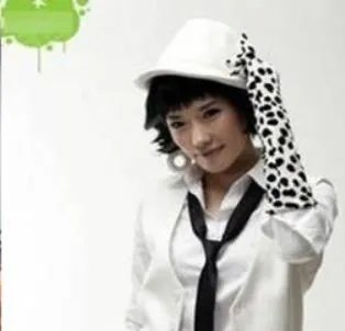 潘南奎以前的样子图片:潘南奎整容前后对比照是什么样?