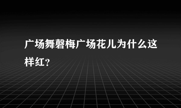 广场舞磬梅广场花儿为什么这样红？