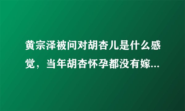 黄宗泽被问对胡杏儿是什么感觉，当年胡杏怀孕都没有嫁给他，这是真的吗？
