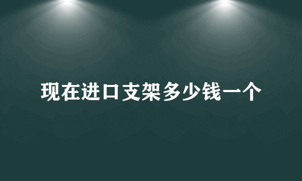 现在进口支架多少钱一个