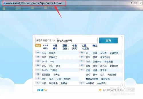 快递100的快递查询窗口如何调用到自己的网站？