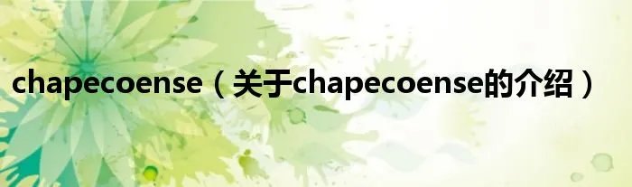chapecoense（关于chapecoense的介绍）