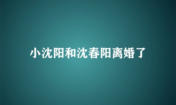 小沈阳和沈春阳离婚了