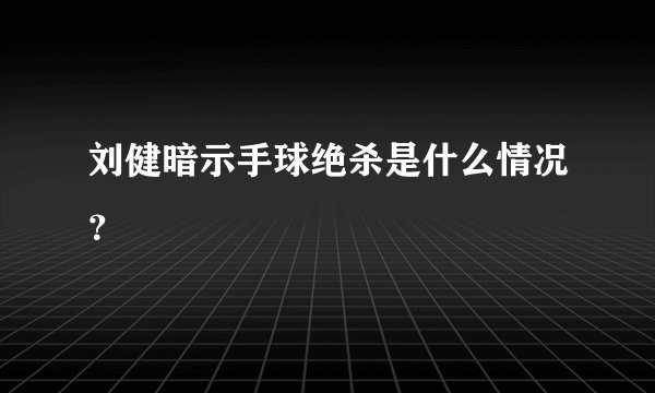 刘健暗示手球绝杀是什么情况？