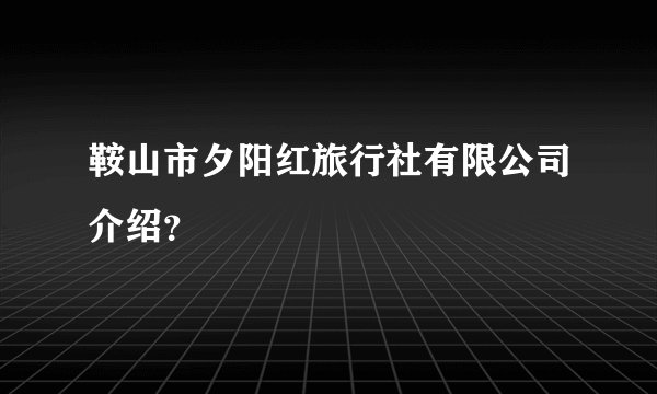 鞍山市夕阳红旅行社有限公司介绍？