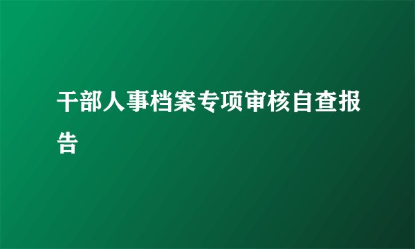 干部人事档案专项审核自查报告
