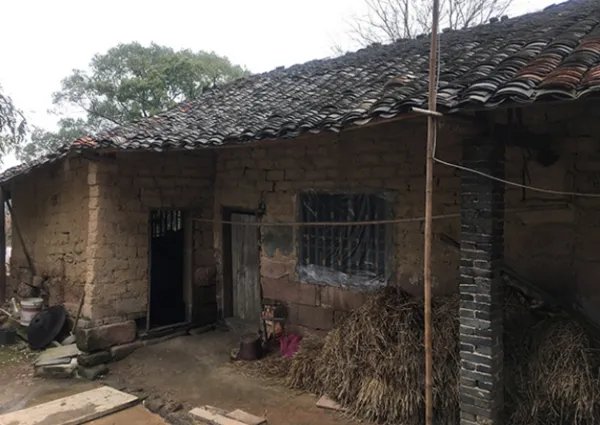 整个湘潭县都在帮刘强东寻祖是真的吗?