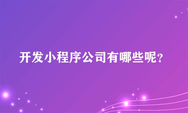 开发小程序公司有哪些呢？