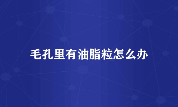 毛孔里有油脂粒怎么办
