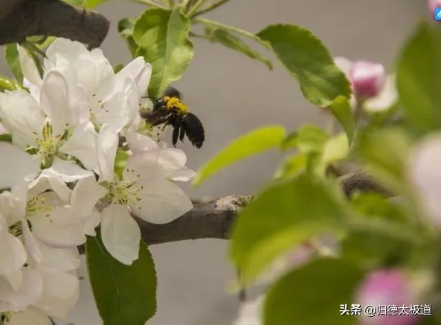 摄影是艺术吗?