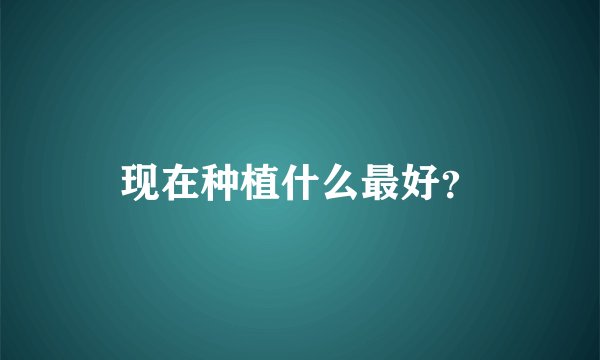 现在种植什么最好？