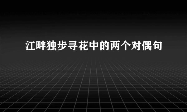 江畔独步寻花中的两个对偶句