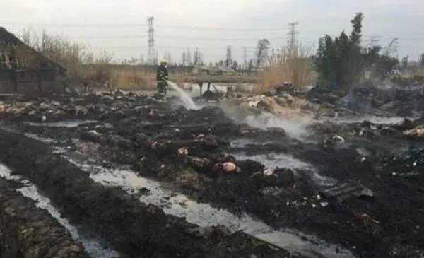 湖南一养猪场起火150头猪被烤焦,这给养猪场老板造成了多大的损失?