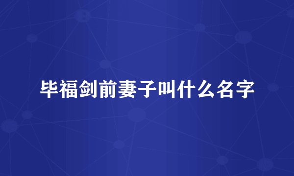 毕福剑前妻子叫什么名字