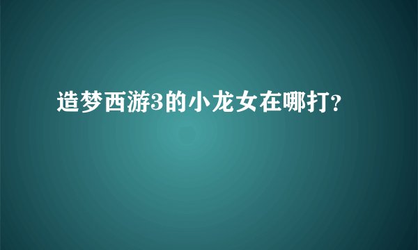 造梦西游3的小龙女在哪打？