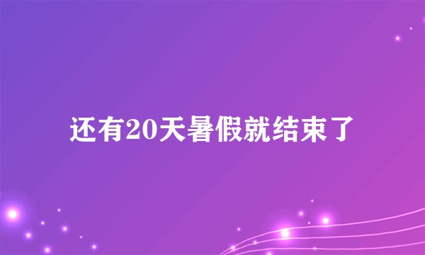 还有20天暑假就结束了
