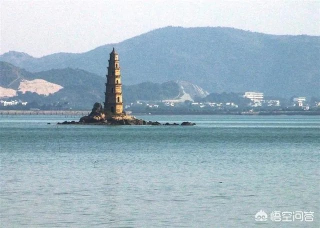 漳州市漳浦县沙西镇为什么被称为中国榕树盆景之乡?