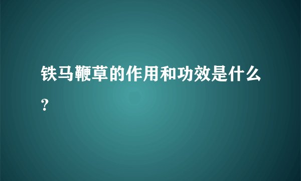 铁马鞭草的作用和功效是什么？