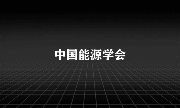 中国能源学会