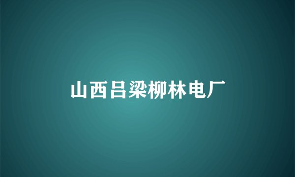 山西吕梁柳林电厂