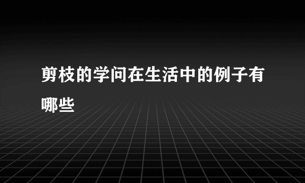 剪枝的学问在生活中的例子有哪些