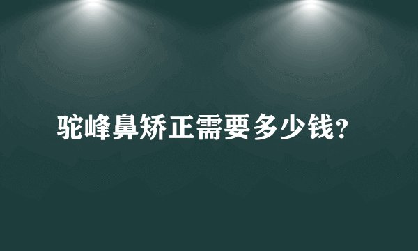驼峰鼻矫正需要多少钱？